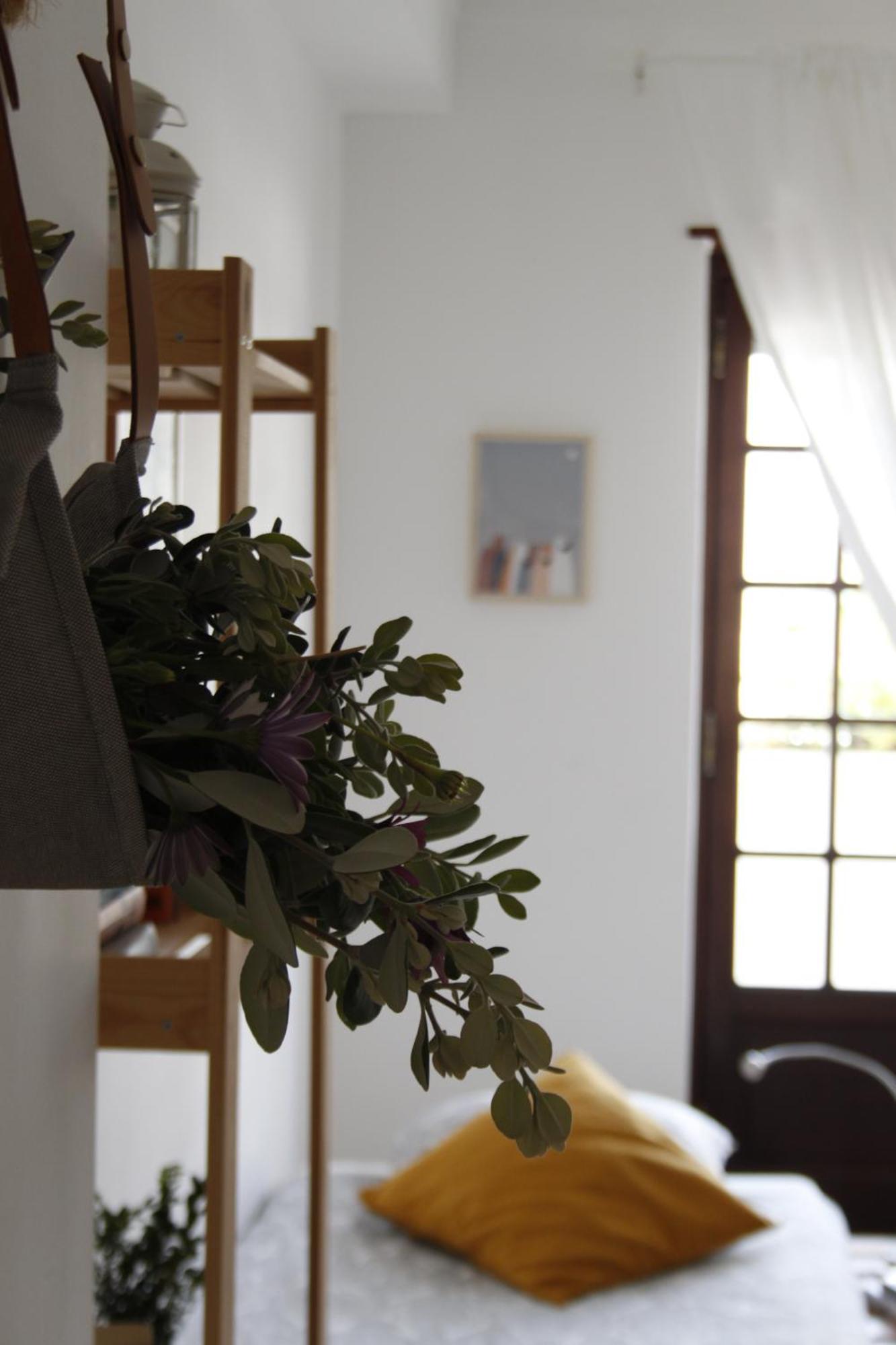 Boa Onda Guesthouse อาโตเกีย ดา บาเลยา ห้อง รูปภาพ